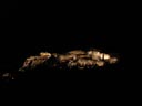 L'Acropole de nuit