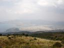 Volos